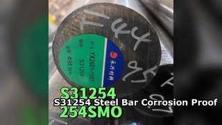 S31254 SMO254 บาร์สแตนเลส 300มม